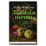 Зыбкая почва